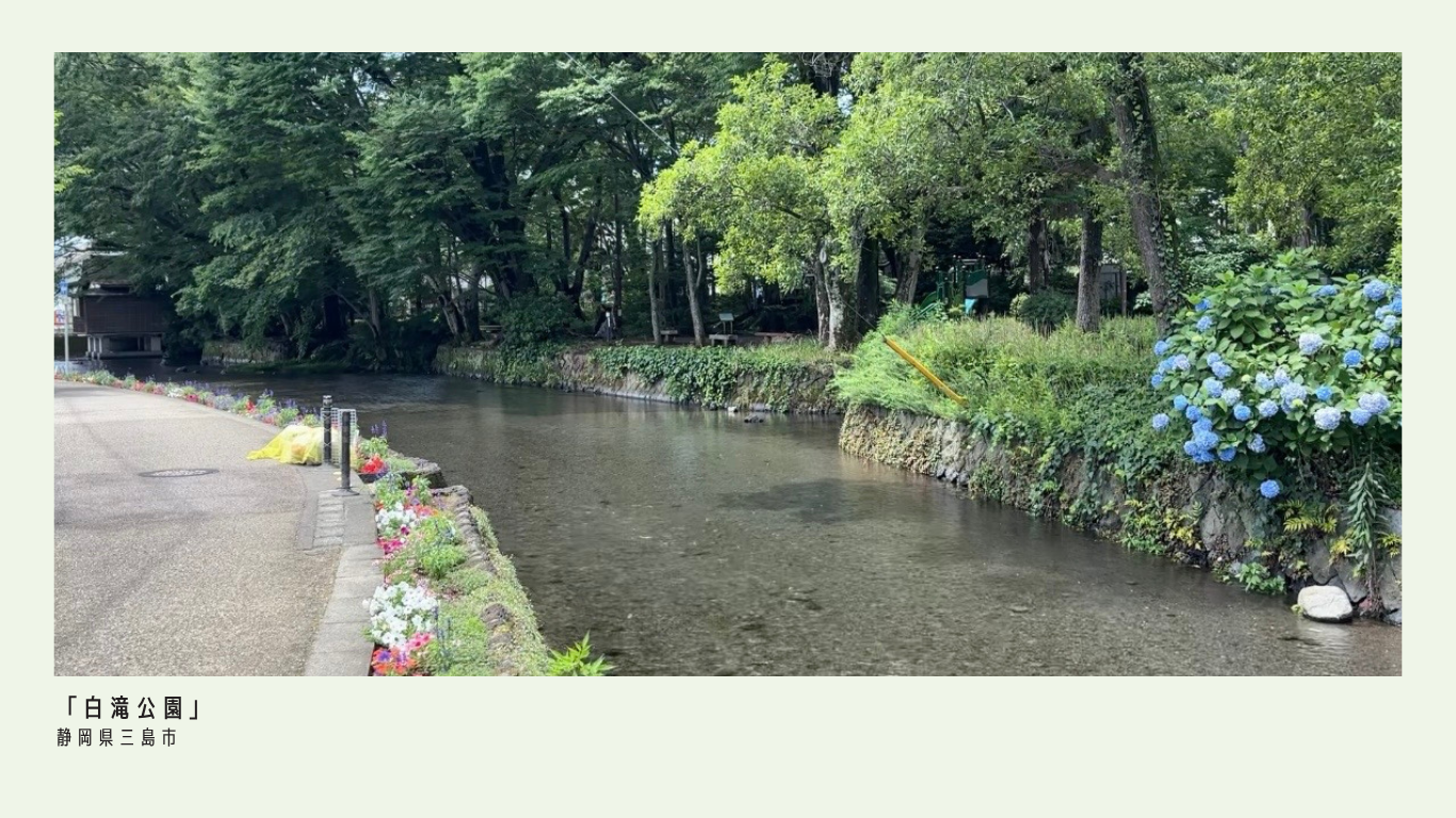 三島市の憩いのスポット「白滝公園」｜富士山の湧水が流れる癒しの公園